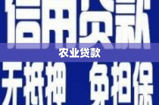 海陵农业贷款
