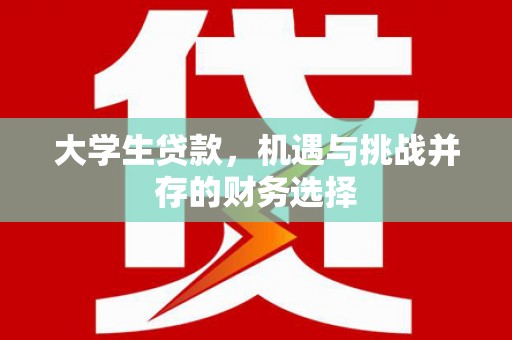 海陵大学生贷款，机遇与挑战并存的财务选择