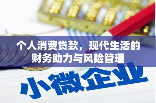 海陵个人消费贷款，现代生活的财务助力与风险管理