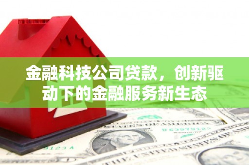 海陵金融科技公司贷款，创新驱动下的金融服务新生态