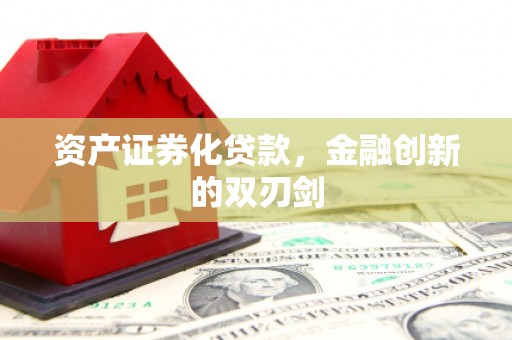 海陵资产证券化贷款，金融创新的双刃剑