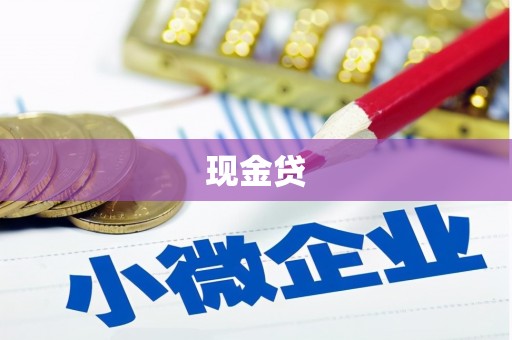 海陵现金贷