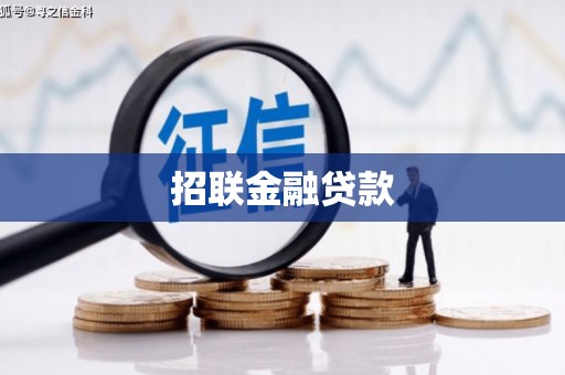 海陵招联金融贷款