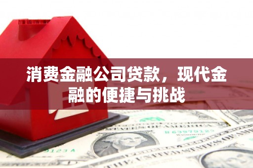 海陵消费金融公司贷款，现代金融的便捷与挑战