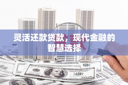 海陵灵活还款贷款，现代金融的智慧选择