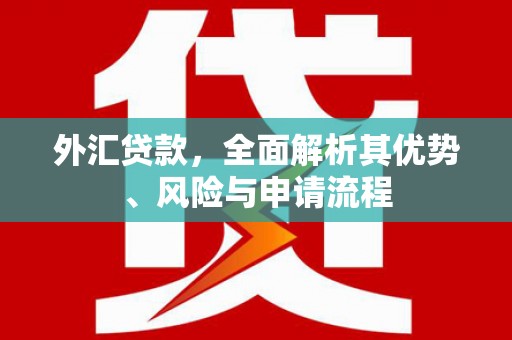 海陵外汇贷款，全面解析其优势、风险与申请流程