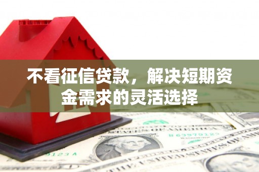 海陵不看征信贷款，解决短期资金需求的灵活选择