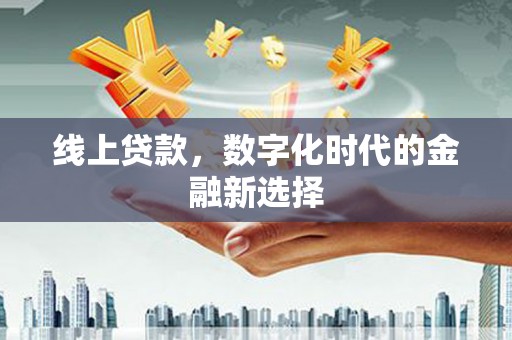 海陵线上贷款，数字化时代的金融新选择
