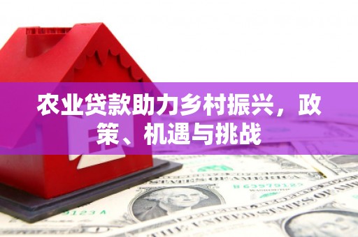 海陵农业贷款助力乡村振兴，政策、机遇与挑战