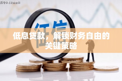 海陵低息贷款，解锁财务自由的关键策略