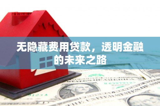 海陵无隐藏费用贷款，透明金融的未来之路