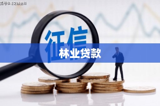 海陵林业贷款