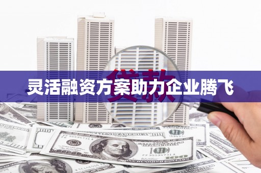 海陵灵活融资方案助力企业腾飞