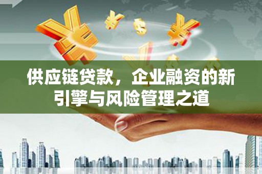 海陵供应链贷款，企业融资的新引擎与风险管理之道