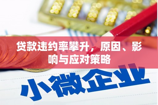 海陵贷款违约率攀升，原因、影响与应对策略