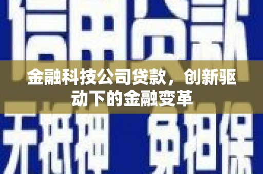 海陵金融科技公司贷款，创新驱动下的金融变革