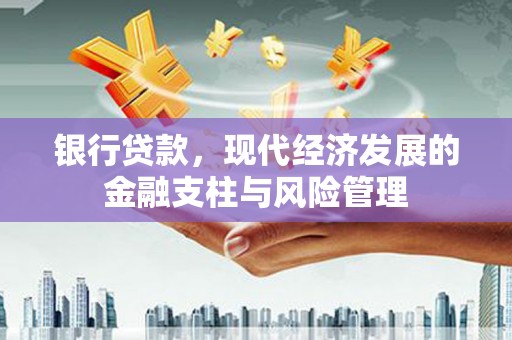 海陵银行贷款，现代经济发展的金融支柱与风险管理