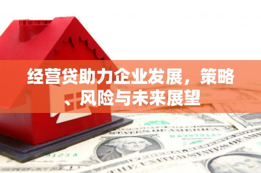 海陵经营贷助力企业发展，策略、风险与未来展望