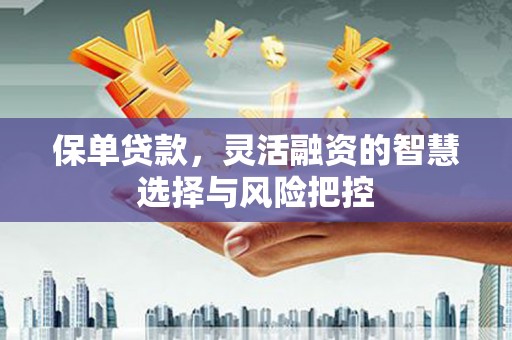 海陵保单贷款，灵活融资的智慧选择与风险把控