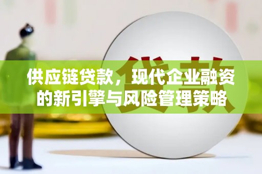 海陵供应链贷款，现代企业融资的新引擎与风险管理策略