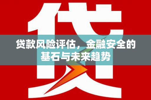 海陵贷款风险评估，金融安全的基石与未来趋势