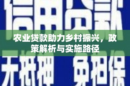 海陵农业贷款助力乡村振兴，政策解析与实施路径