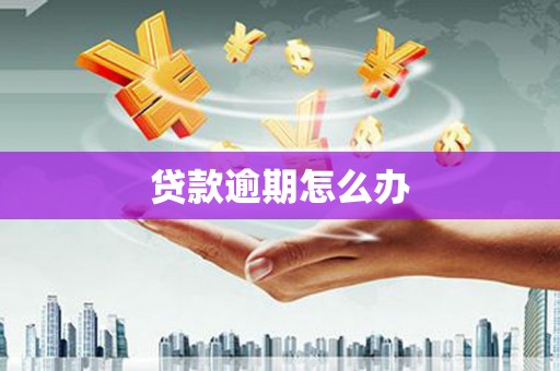 海陵贷款逾期怎么办
