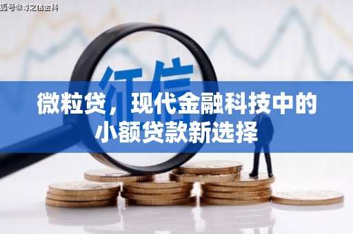 海陵微粒贷，现代金融科技中的小额贷款新选择