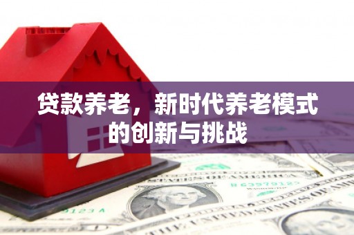 海陵贷款养老，新时代养老模式的创新与挑战