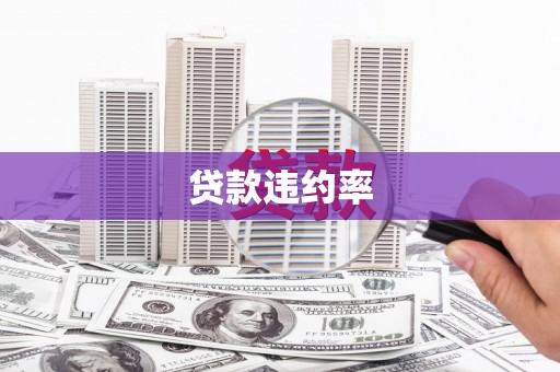 海陵贷款违约率