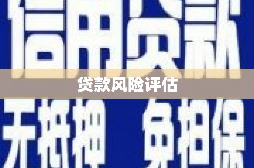 海陵贷款风险评估