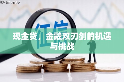 海陵现金贷，金融双刃剑的机遇与挑战