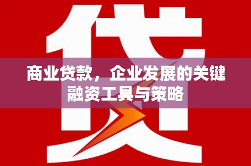 海陵商业贷款，企业发展的关键融资工具与策略
