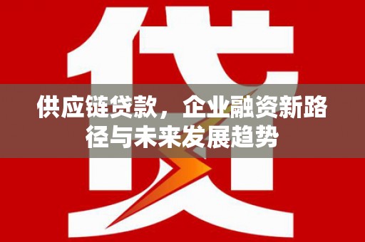 海陵供应链贷款，企业融资新路径与未来发展趋势