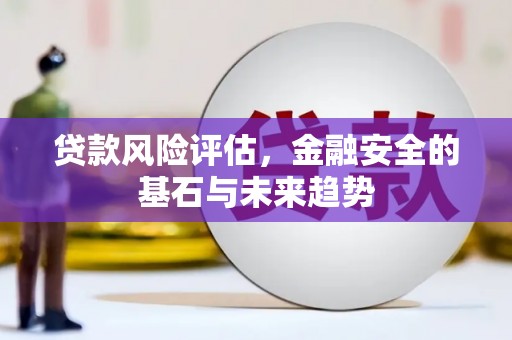 海陵贷款风险评估，金融安全的基石与未来趋势