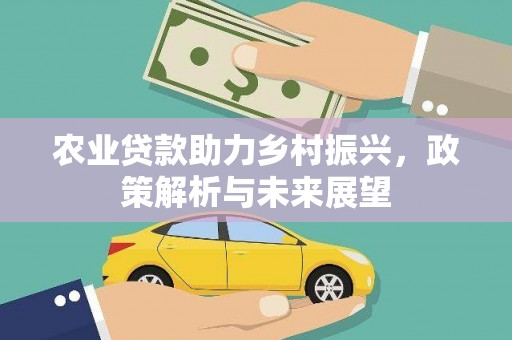 海陵农业贷款助力乡村振兴，政策解析与未来展望