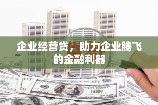 海陵企业经营贷，助力企业腾飞的金融利器