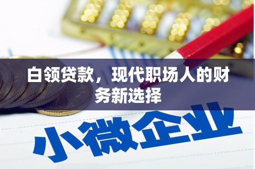 海陵白领贷款，现代职场人的财务新选择
