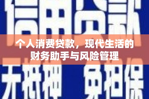 海陵个人消费贷款，现代生活的财务助手与风险管理