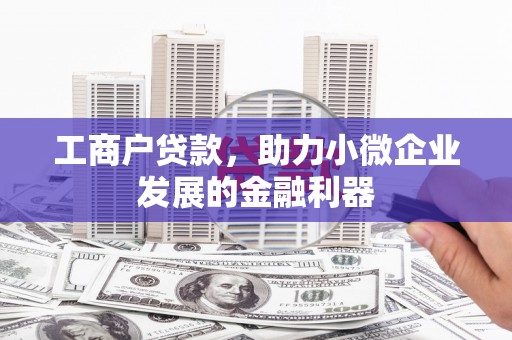 海陵工商户贷款，助力小微企业发展的金融利器