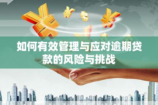 海陵如何有效管理与应对逾期贷款的风险与挑战