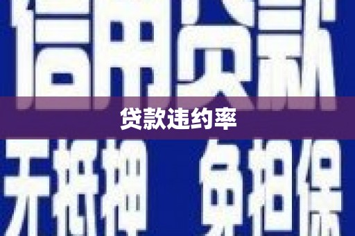 海陵贷款违约率