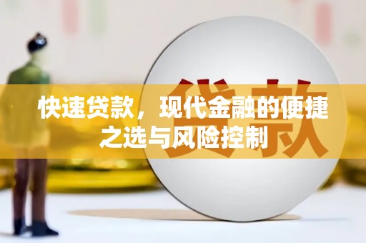 海陵快速贷款，现代金融的便捷之选与风险控制