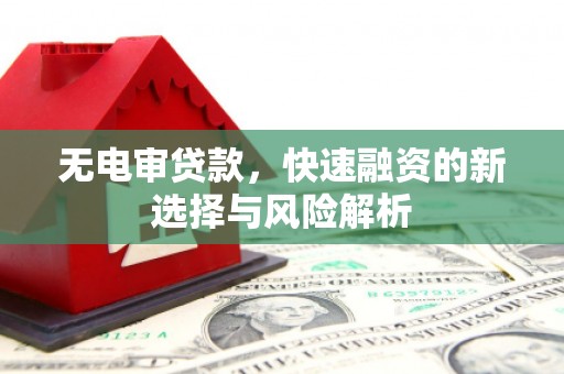 海陵无电审贷款，快速融资的新选择与风险解析