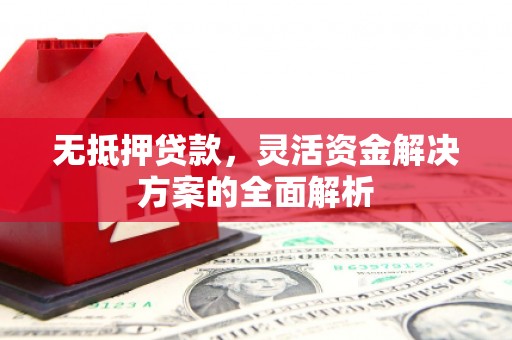 海陵无抵押贷款，灵活资金解决方案的全面解析