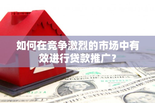 海陵如何在竞争激烈的市场中有效进行贷款推广？