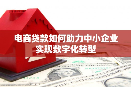 海陵电商贷款如何助力中小企业实现数字化转型