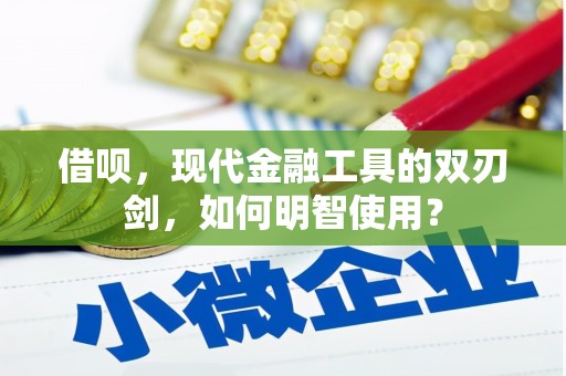 海陵借呗，现代金融工具的双刃剑，如何明智使用？