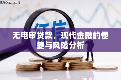 海陵无电审贷款，现代金融的便捷与风险分析