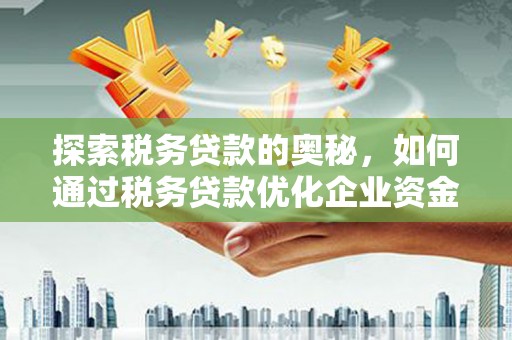 海陵探索税务贷款的奥秘，如何通过税务贷款优化企业资金流